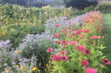 Luxembourg | Cultivating Leadership: The Role of a Gardener as Teacher and Politician